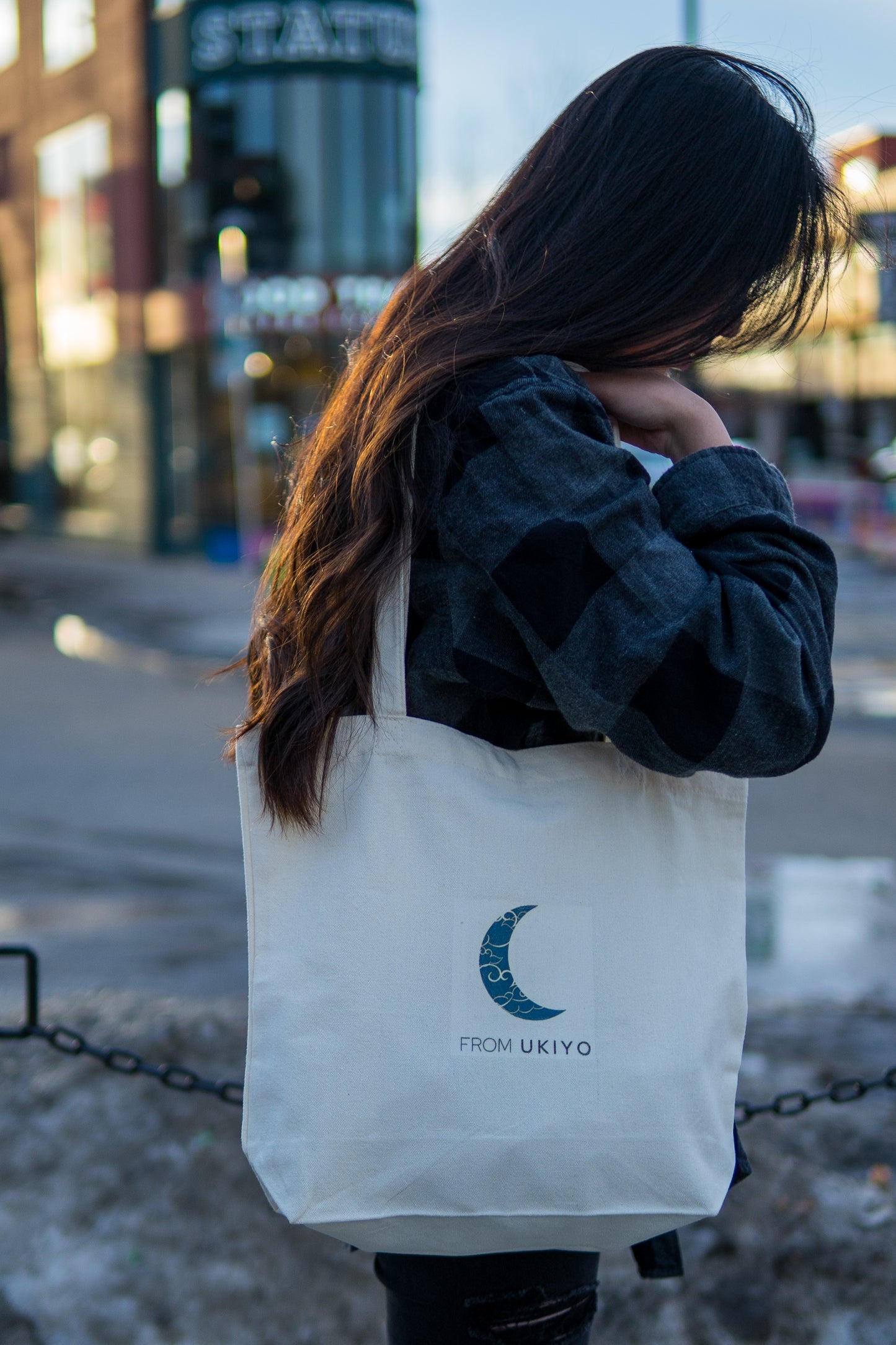 Lunar Collection - Moonlit Design